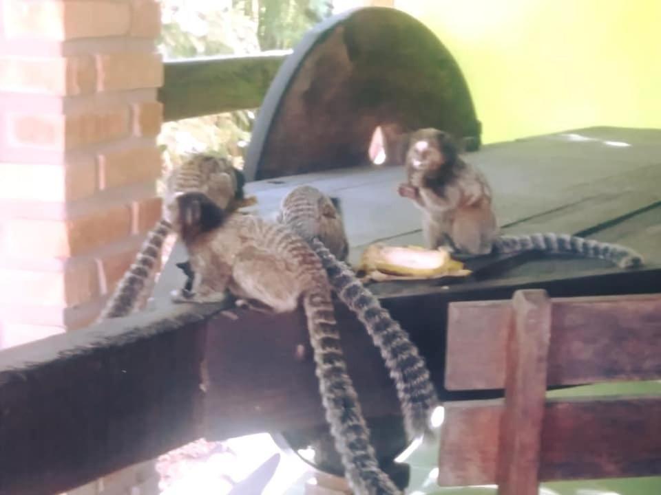 Pousada Do Sossego Conceicao da Ibitipoca Luaran gambar