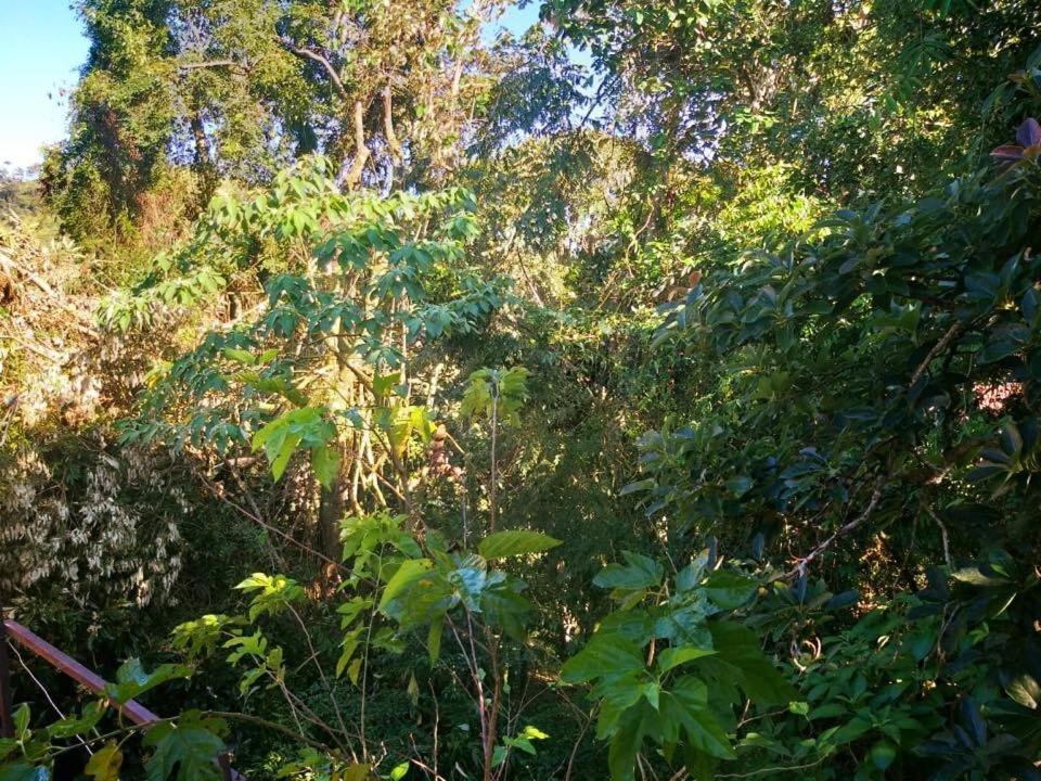 Pousada Do Sossego Conceicao da Ibitipoca Luaran gambar