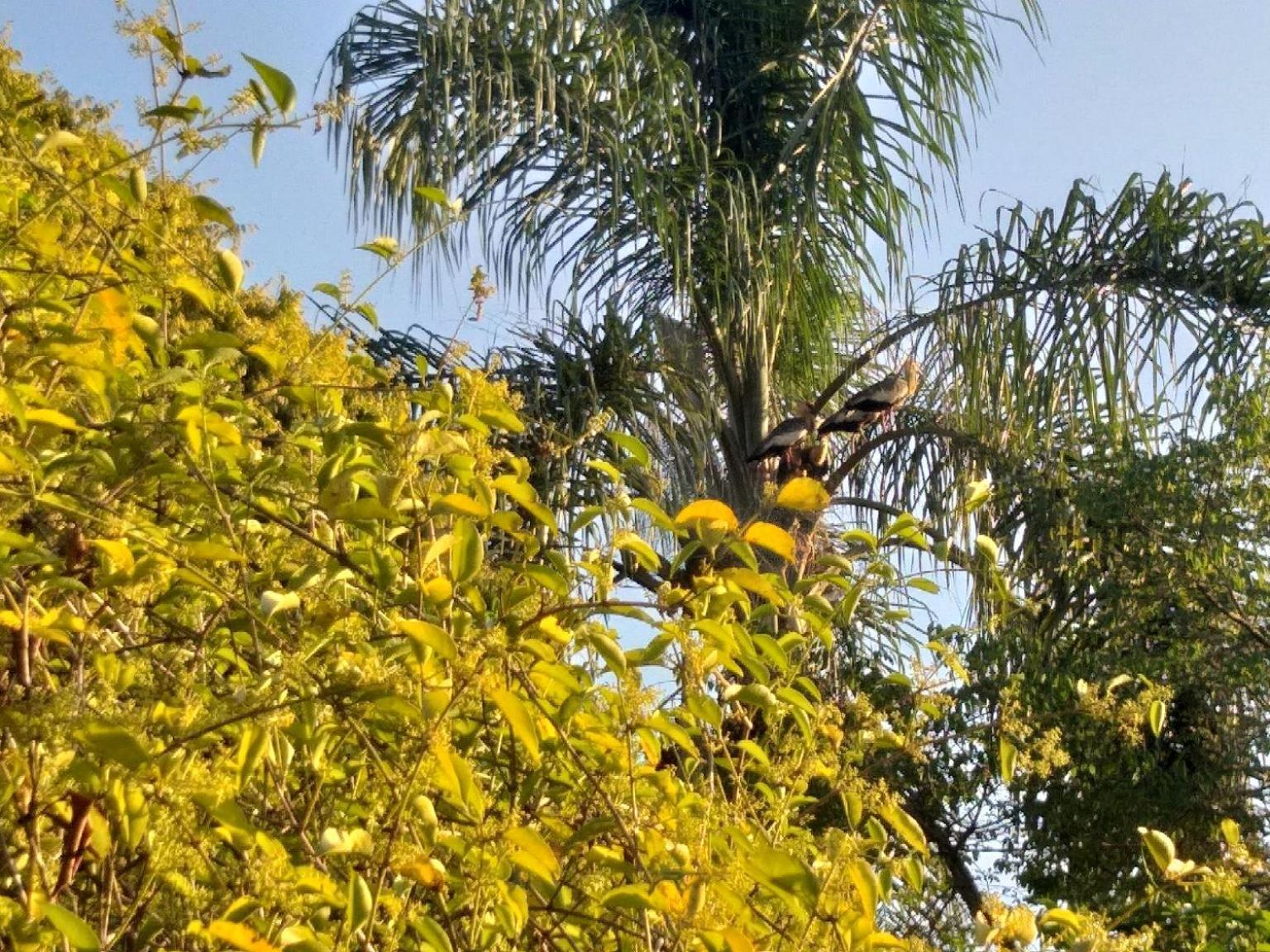 Pousada Do Sossego Conceicao da Ibitipoca Bilik gambar